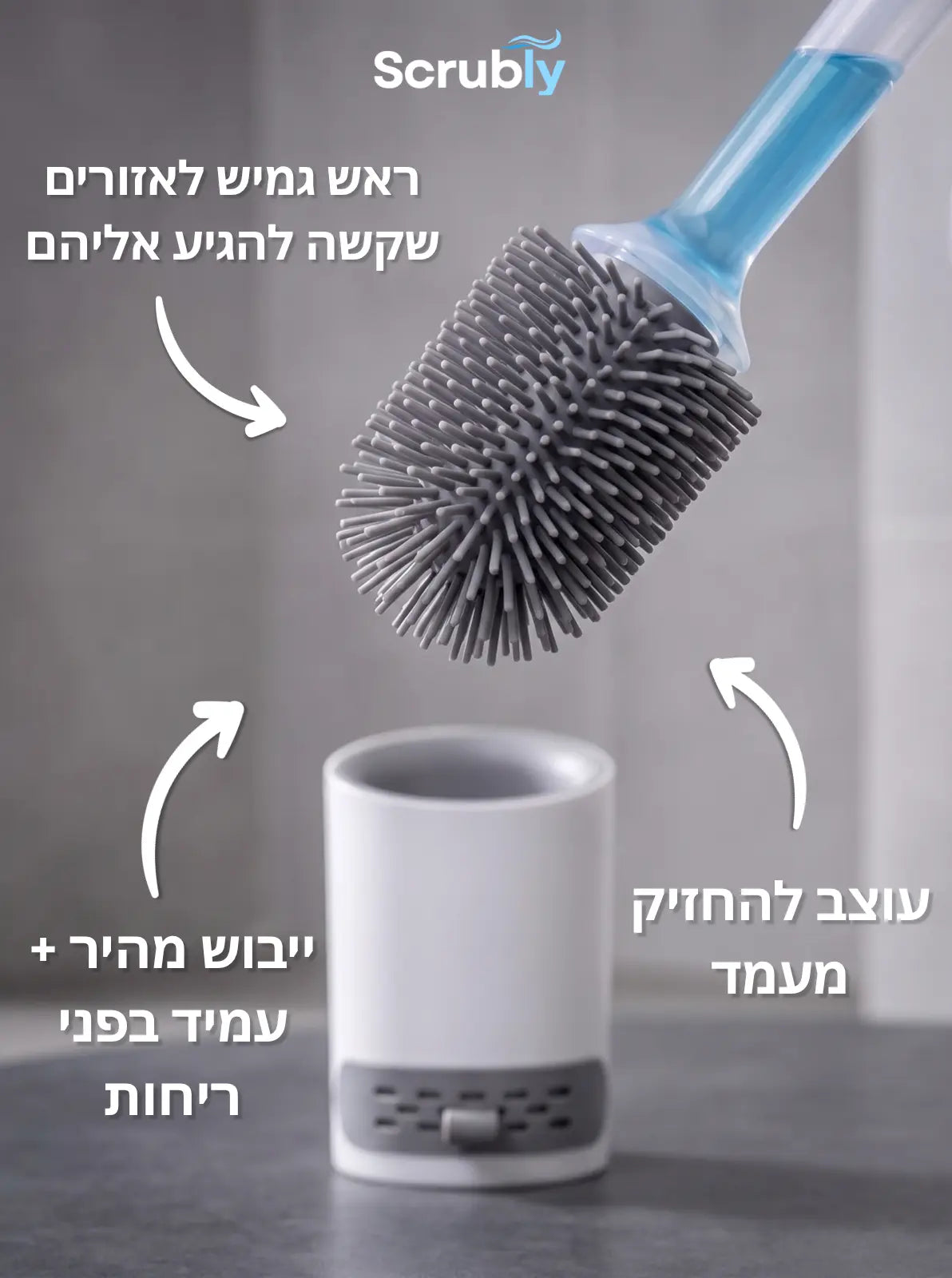 מברשת סקרבלי אסלה