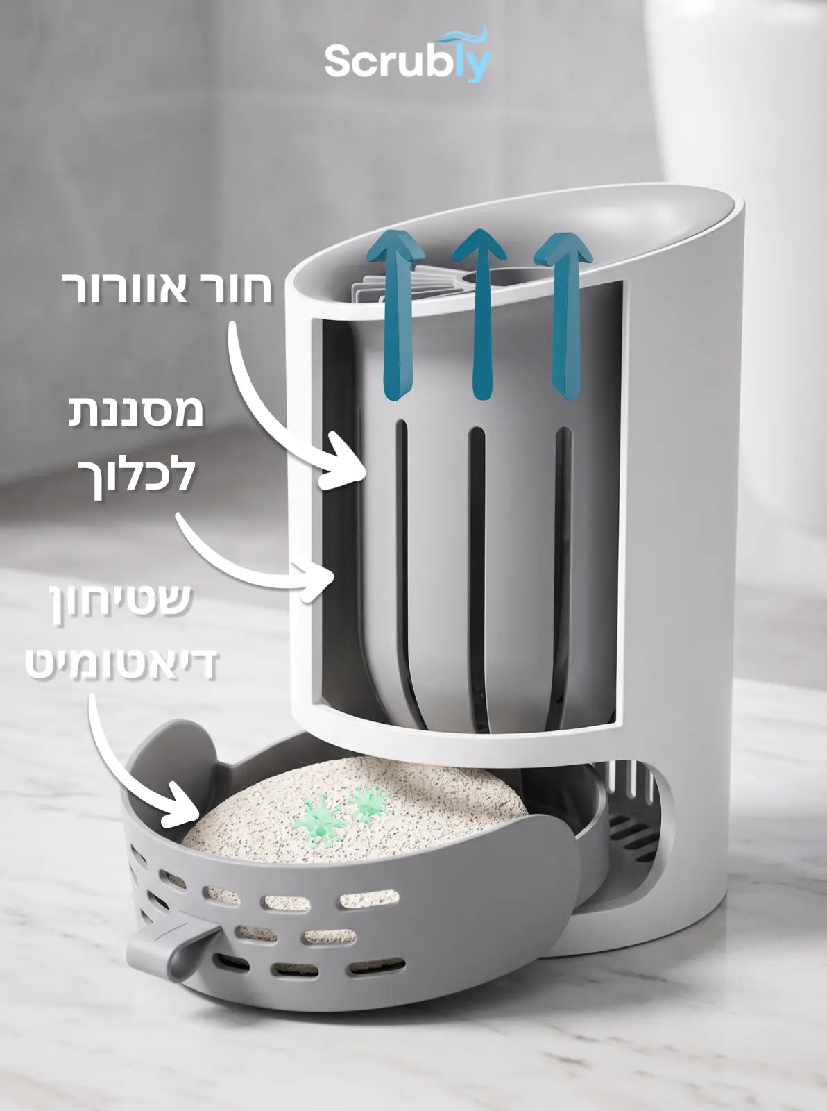 מברשת סקרבלי אסלה